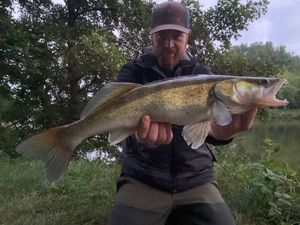 Zander