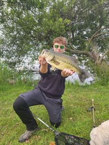 Smallmouth Bass