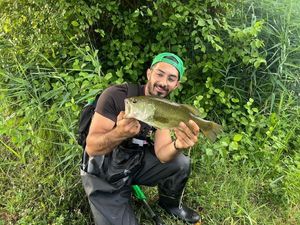 Largemouth Bass