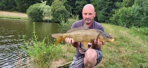 Common Carp