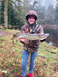 Northern Pike