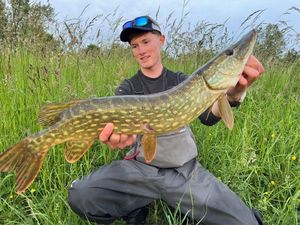 Northern Pike