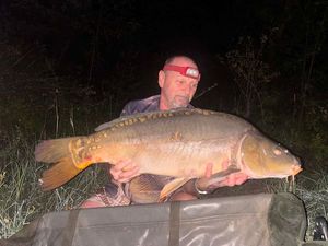 Mirror Carp