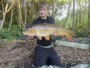 Common Carp