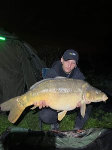 Mirror Carp