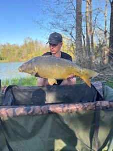 Leather Carp