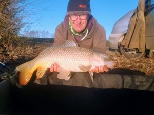 Common Carp