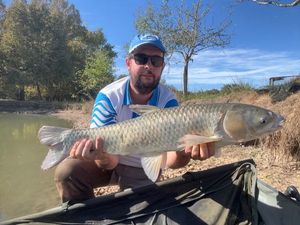 Grass Carp