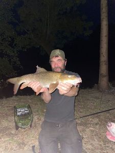 Barbel