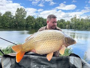 Common Carp