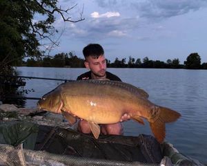 Mirror Carp