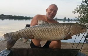 Grass Carp