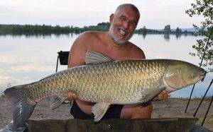 Grass Carp