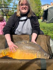 Mirror Carp