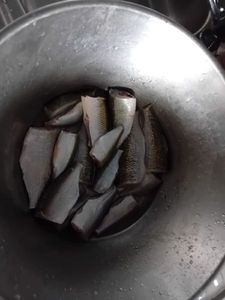 Roach