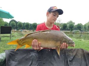 Mirror Carp