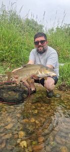 Barbel
