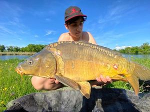 Mirror Carp