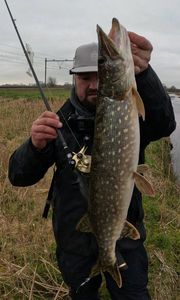 Northern Pike