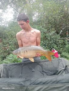 Mirror Carp