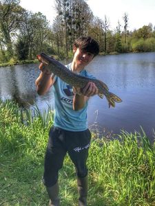 Northern Pike