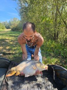 Mirror Carp