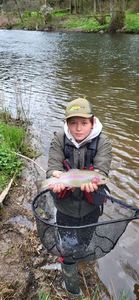 Rainbow Trout