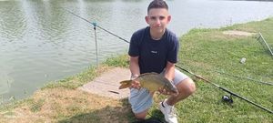 Common Carp
