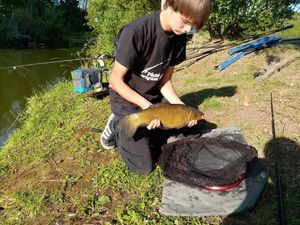 Tench