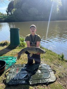 Mirror Carp
