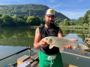 Koï Fish