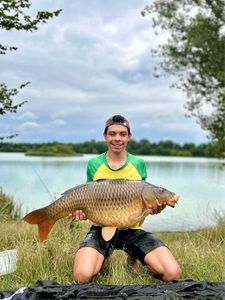 Common Carp