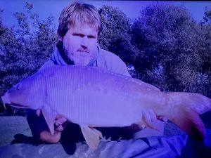 Mirror Carp