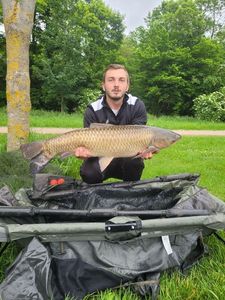 Grass Carp