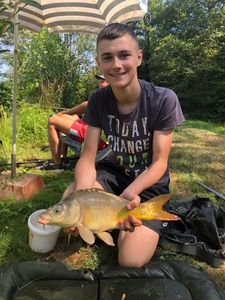 Mirror Carp