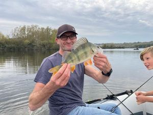 European Perch