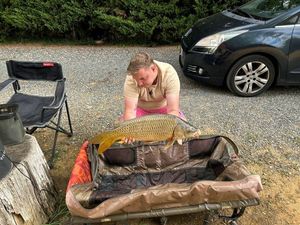 Common Carp