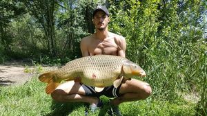 Common Carp