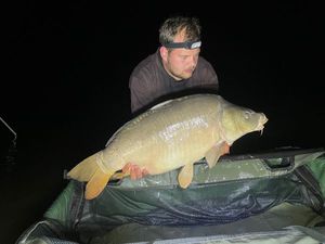 Mirror Carp