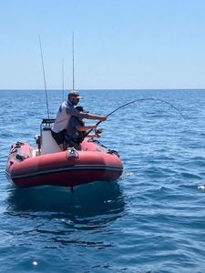 Southern Bluefin Tuna