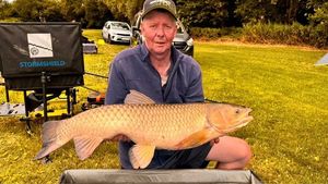 Grass Carp