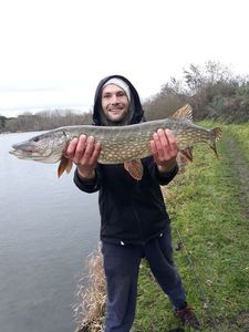Northern Pike