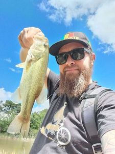 Largemouth Bass
