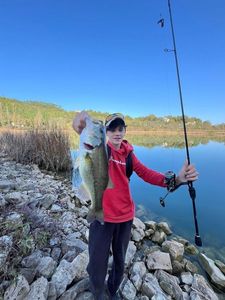 Largemouth Bass