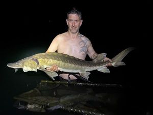 Sturgeon
