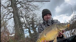 Mirror Carp