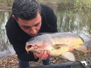Mirror Carp