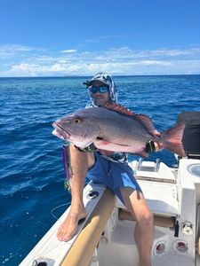 African Red Snapper