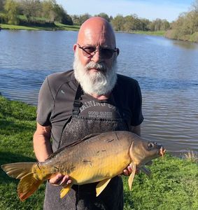 Mirror Carp