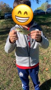 Largemouth Bass